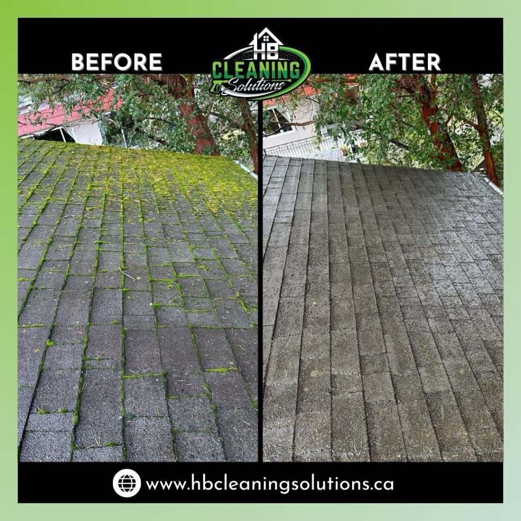 Before after moss on shingles